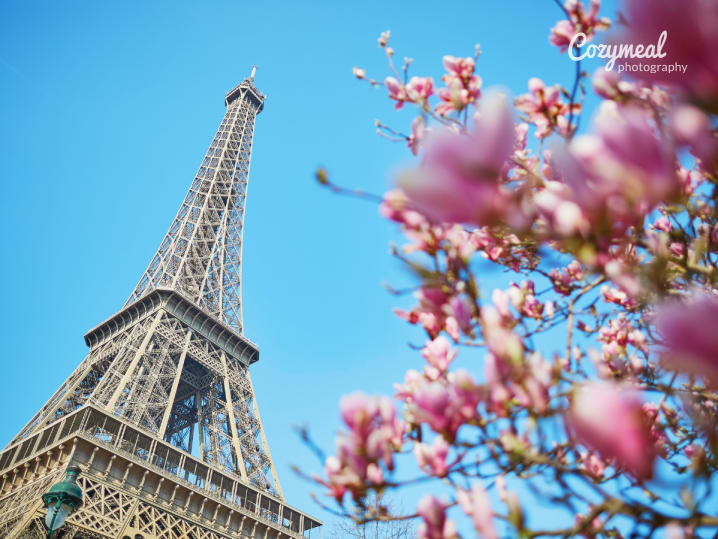 a view of the eiffel tower in france for a cooking class based on emily in paris