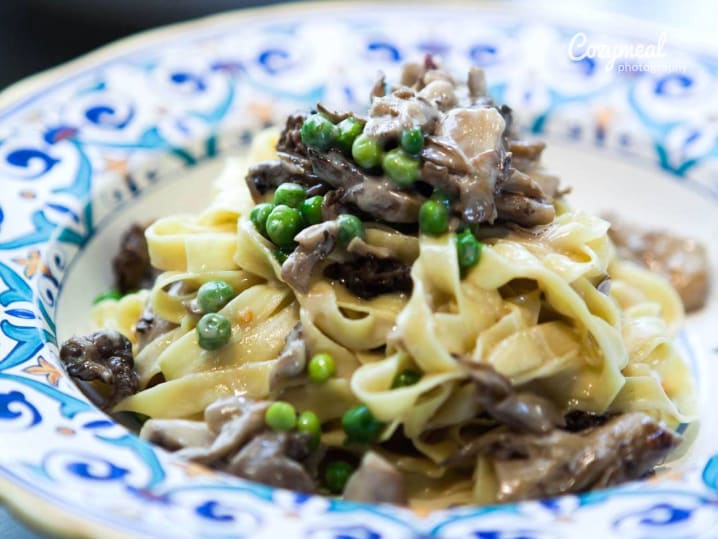 Tagliatelle with Wild Mushroom Ragu