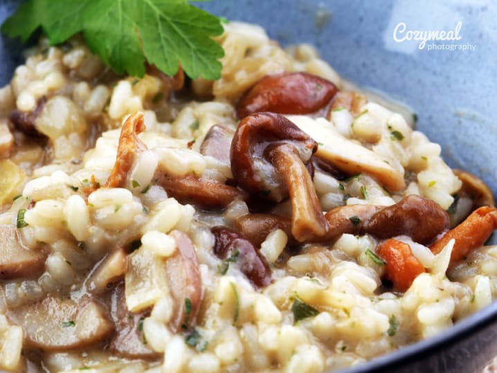 mushroom risotto