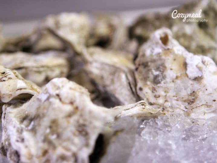 Fresh Oysters