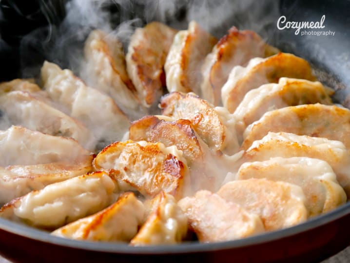 cooking gyoza dumplings in a pan
