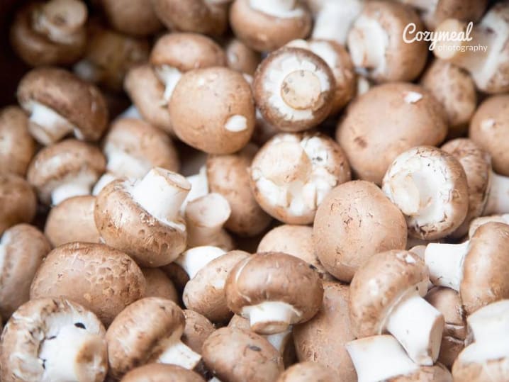 fresh mushrooms