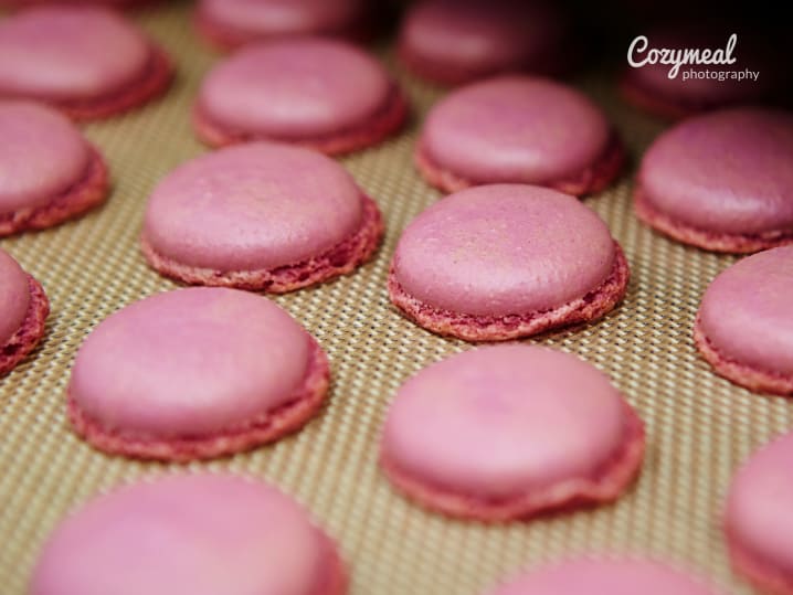 macaron on tray