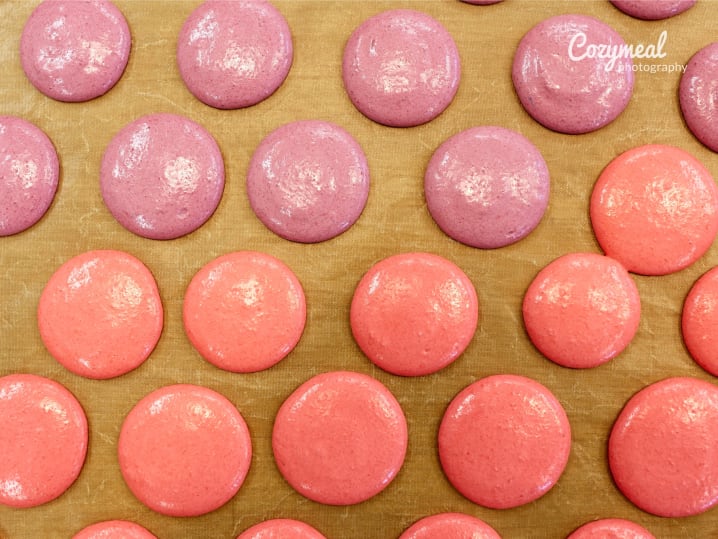 macarons
