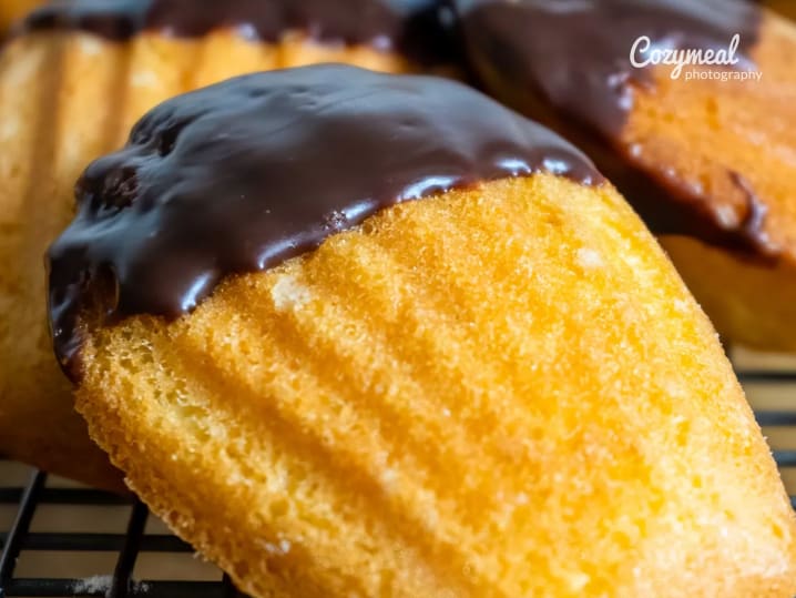 madeleine (3)