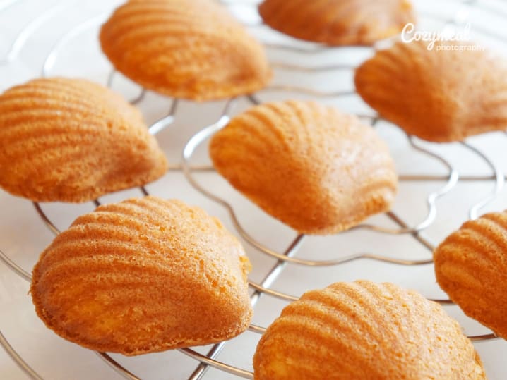 making madeleine