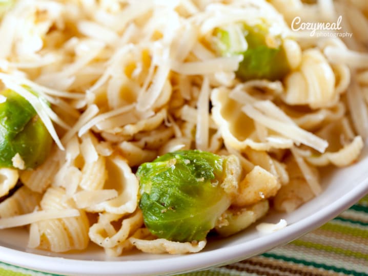 miso pasta with brussels sprouts