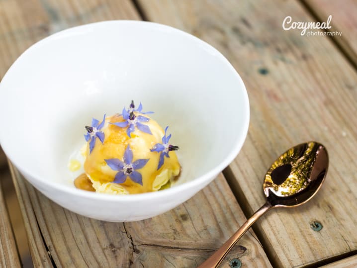 olive oil and vanilla gelato