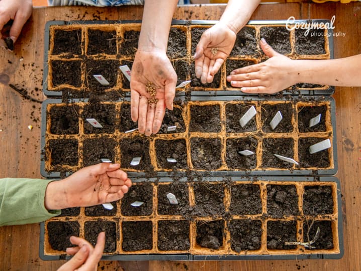 people making an edible microgarden