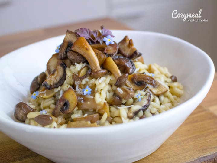 smothered mushrooms and rice