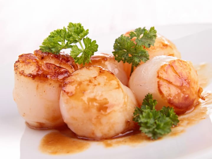 scallop