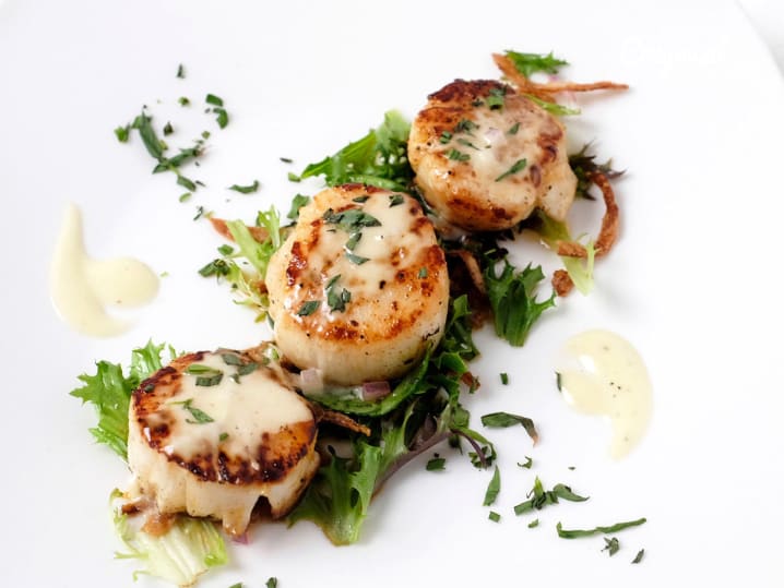 seared scallops