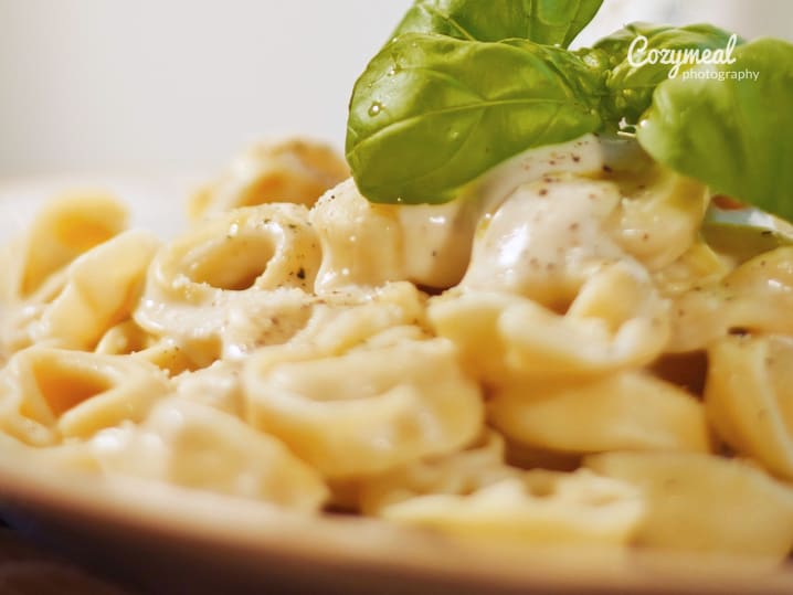 tortellini pasta plate