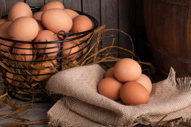 All about the current egg shortage