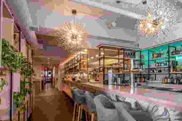 Vegan Restaurants in Vancouver Best 13 in 2024 Cozymeal