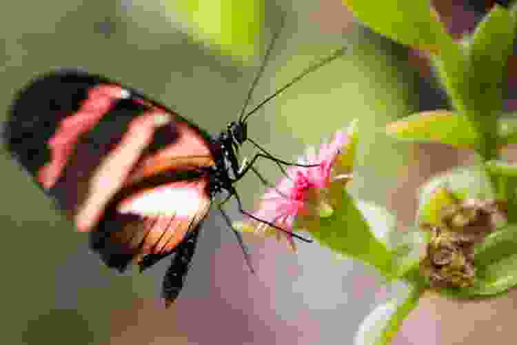 Team Building Activities in Phoenix 15 Best in 2023 Cozymeal