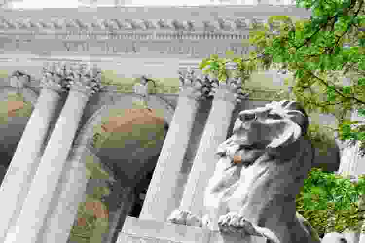 Indoor Activities NYC 31 Best Ideas for 2023 Cozymeal