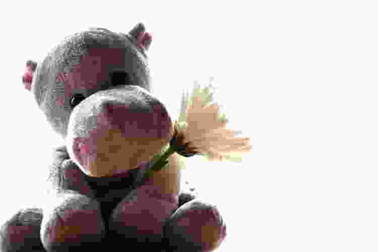 Creative Gift Card Presentation Ideas for 2024 Cozymeal