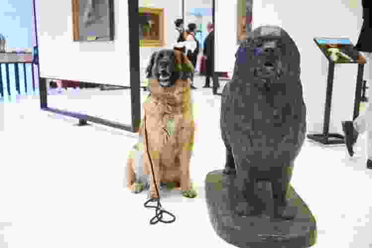 Indoor Activities NYC 31 Best Ideas for 2024 Cozymeal