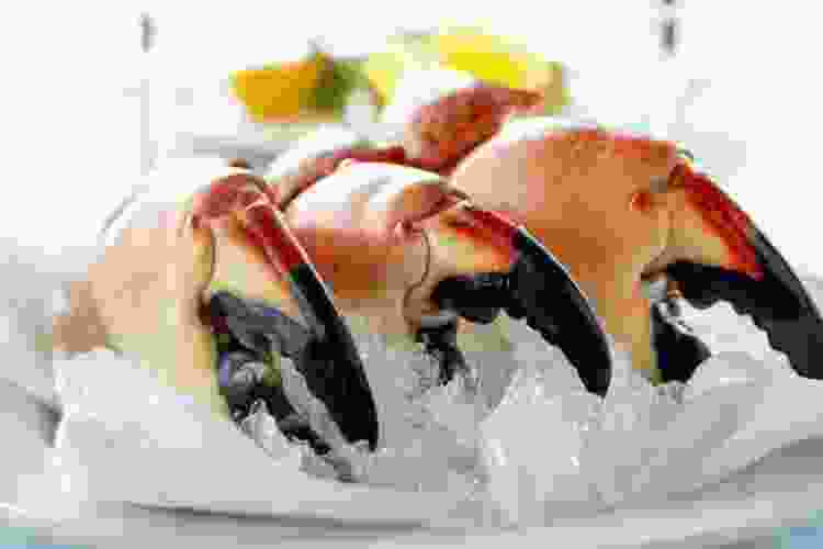 San Diego Foods Best Food in San Diego for 2023 Cozymeal