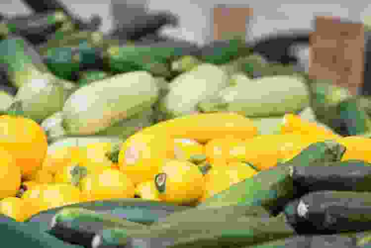 Zucchini are a delicious summer vegetable to pick up at your local market