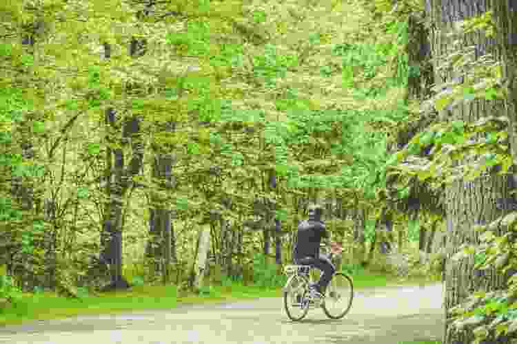 Team Building Activities in Mississauga 15 Best in 2023 Cozymeal