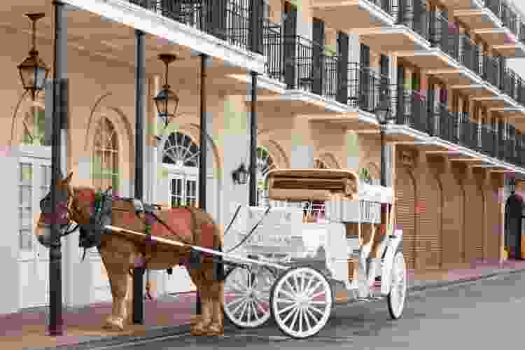 new orleans ghost tours carriage