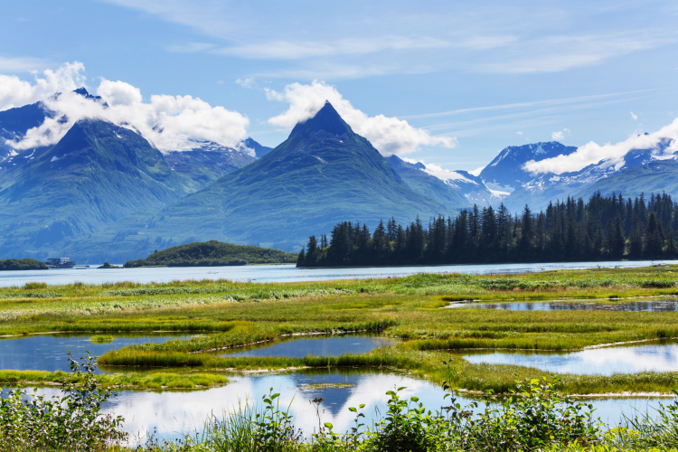 Alaskan adventure trip retirement gift for men
