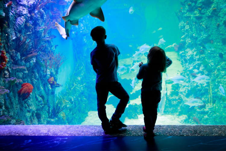 aquarium indoor activities in new jersey