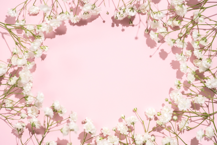 Baby’s Breath Wreath