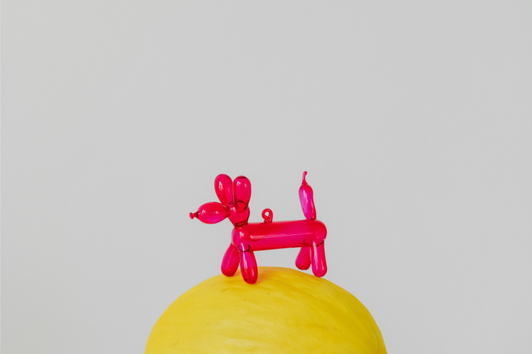 Balloon Art