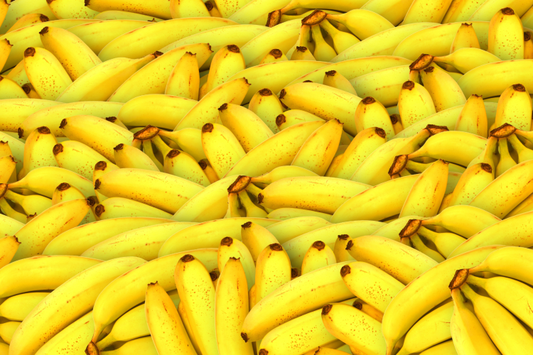 Bananas About You