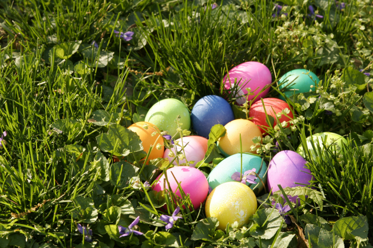 Easter egg hunt roll in Washington DC