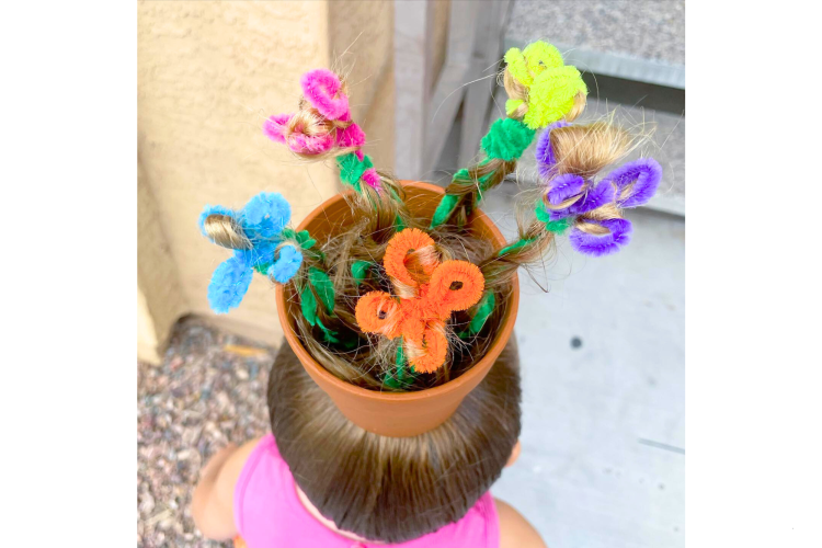 Blooming Flowers