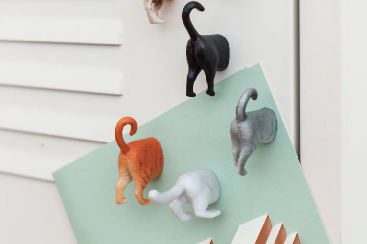 cat butt magnets funny gift for cat lovers