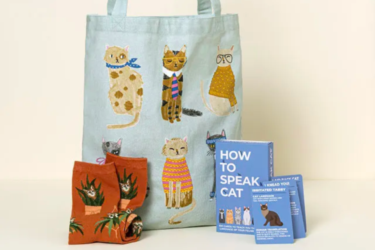 cat lovers gift set with cat socks, books and bags