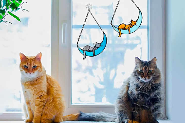 cat window hanger gifts for cat lovers