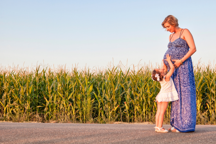 Cornfields