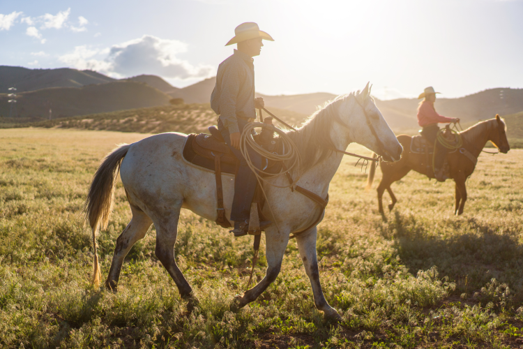 Cowboy Ranch