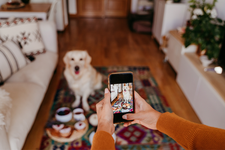 photography gift for dog lovers
