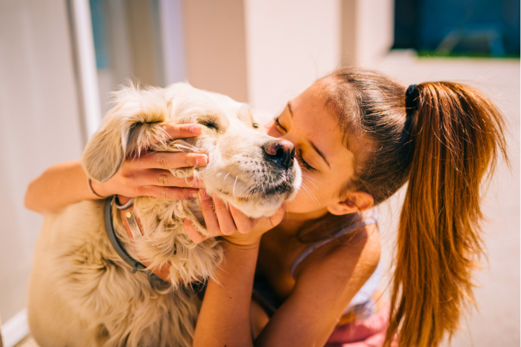 Show some love to your dog on this February holiday.