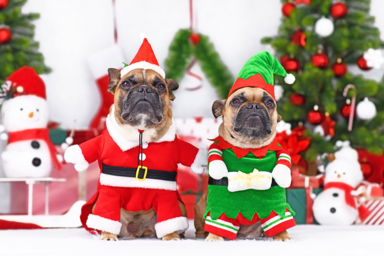 Get dressed up with this Christmas party idea.