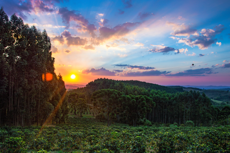 Edit your landscape photographs to bring out the color