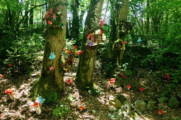 Create a Fairy Garden