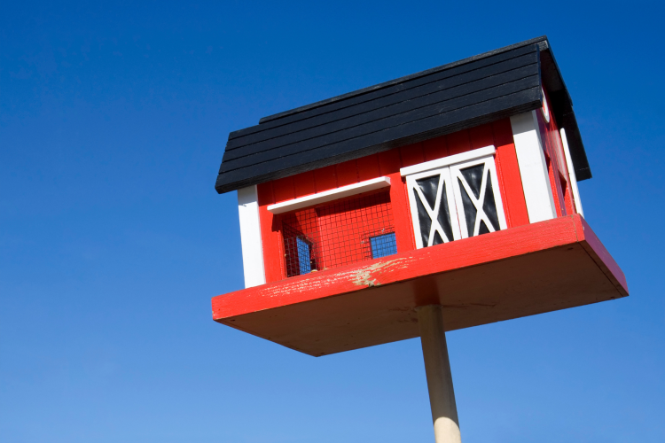 farmhouse birdhouse painting idea