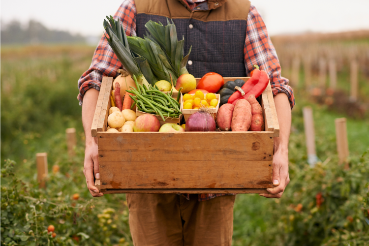 Farm-to-Table Feast