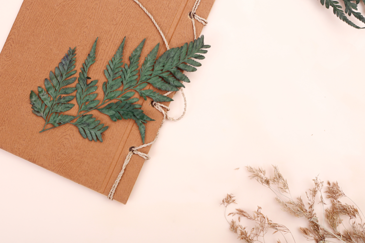 Pressed fern DIY Christmas ornaments