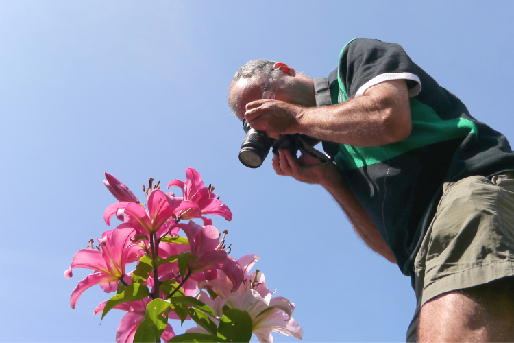 man taking photos of pink flowers