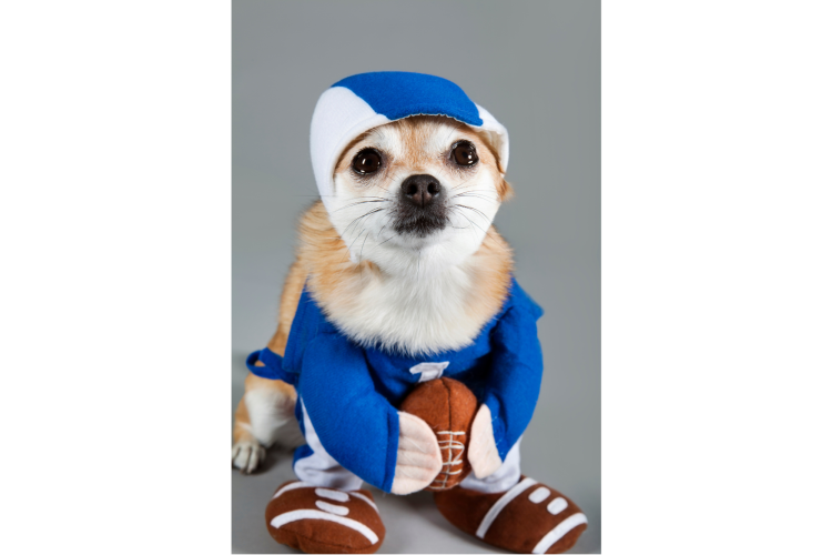 Football Costume Contest