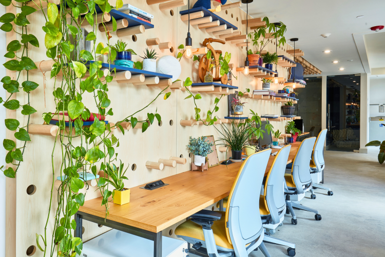 Garden wall in an office